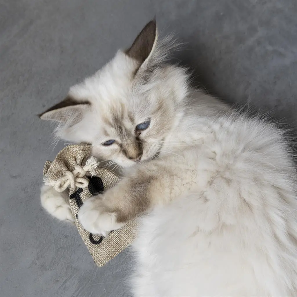 HappyCat Pouch med catnip